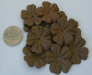 AS4E - 43mm Chocolate Flower Petals 